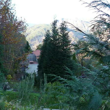 Casas Guimbras Villa